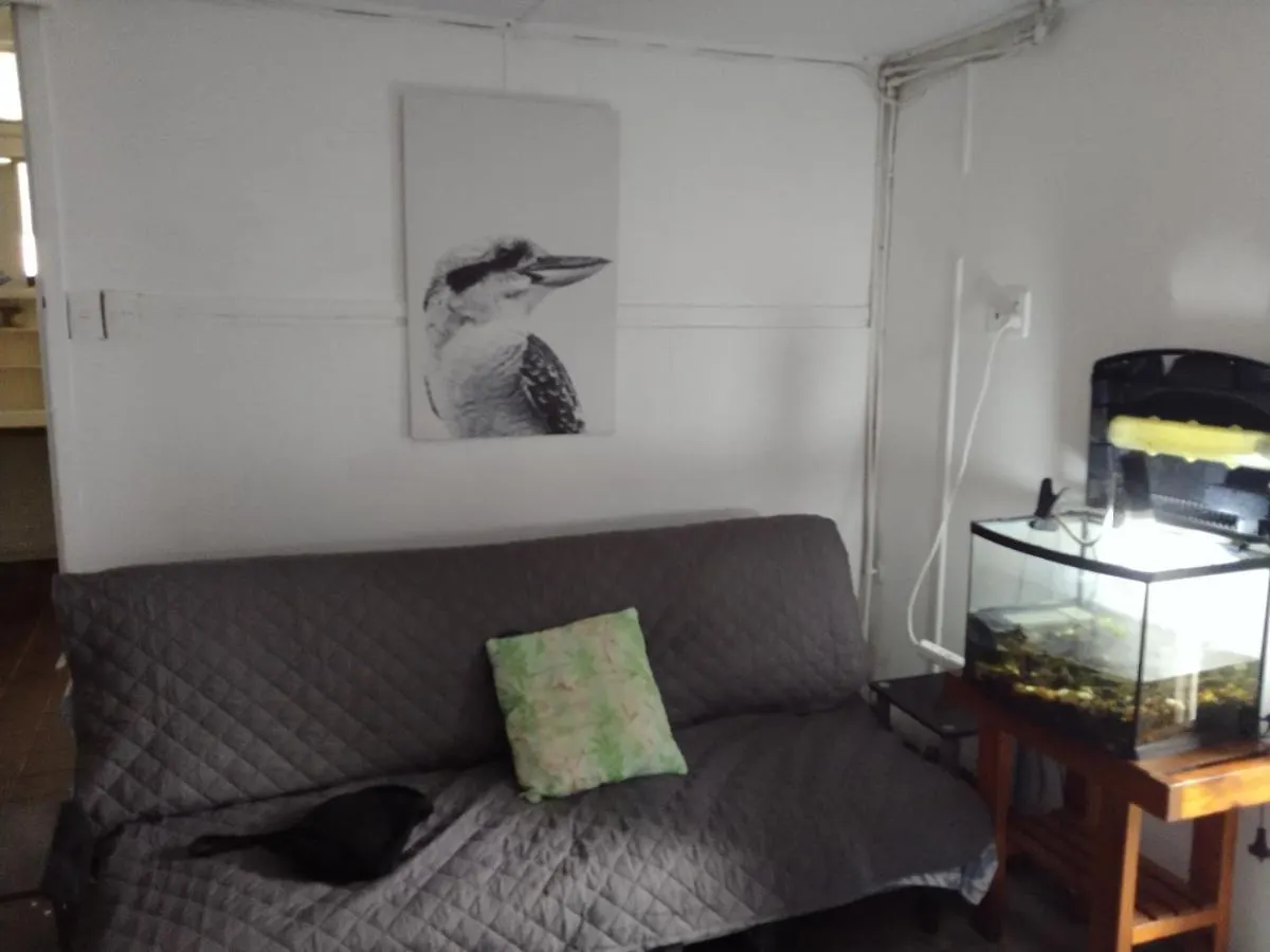 Palms Hostel