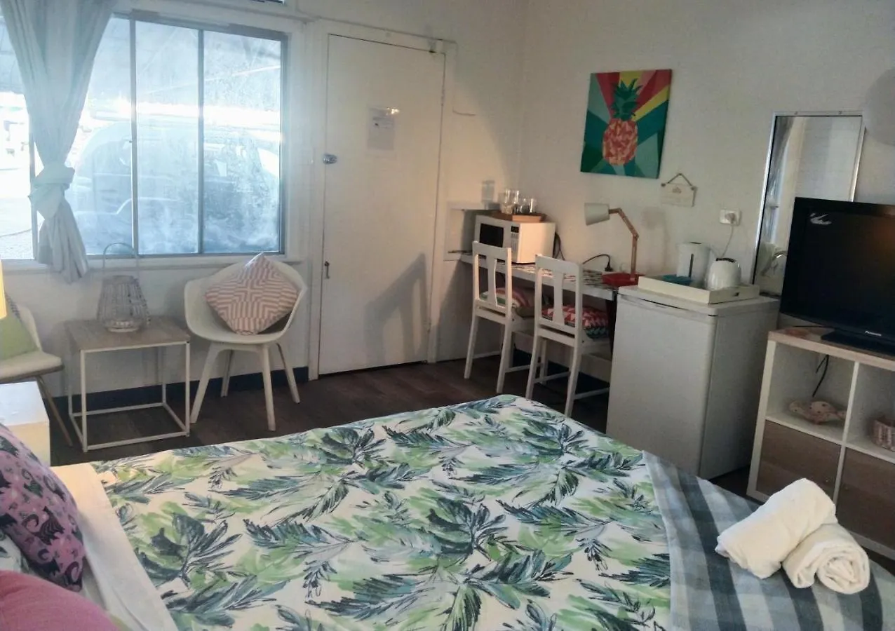 Palms Hostel